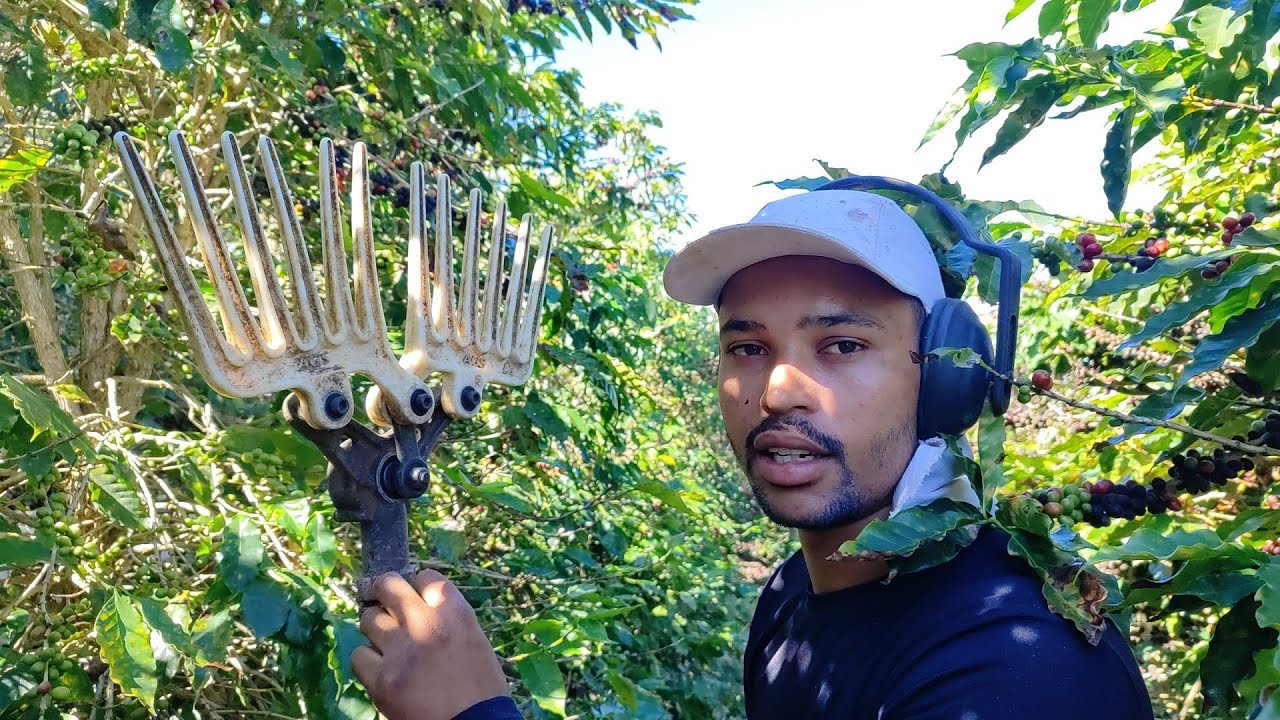 SERÁ ❓ AGS TURBO A MELHOR DERRIÇADEIRA PARA COLHER CAFÉ 🌱