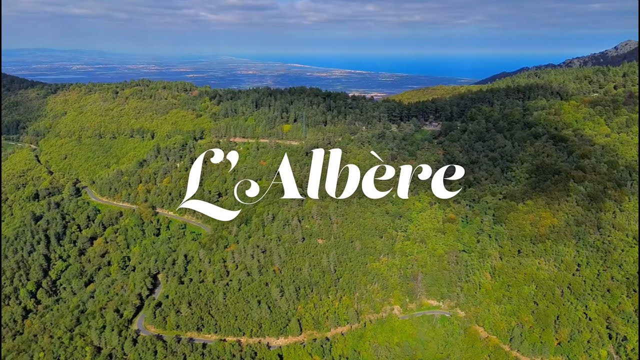 Découverte de l'Albère