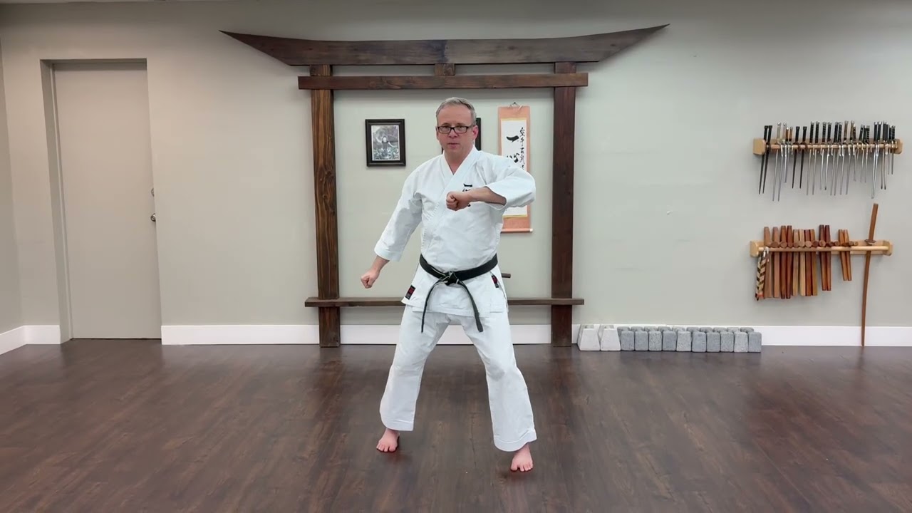 ZMA Curriculum - Dragons - 13/14 Kata