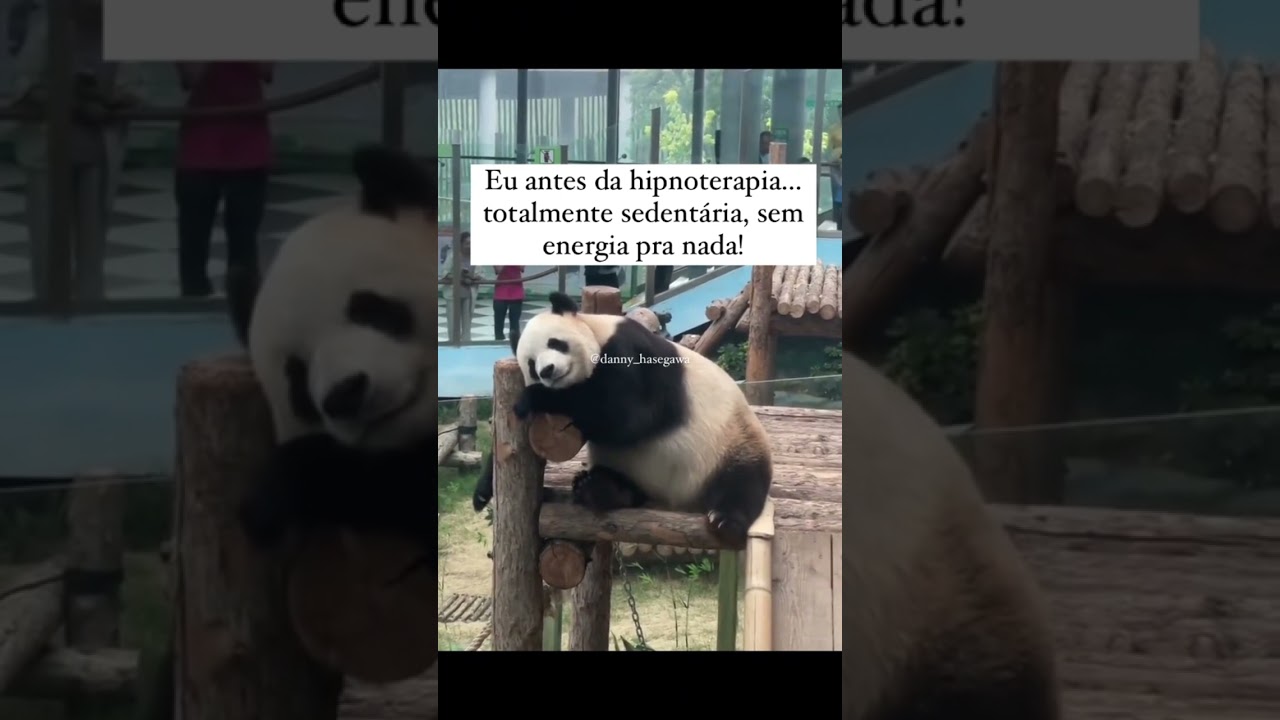 Eu antes da hipnoterapia&hellip; totalmente sedent&aacute;ria, sem energia pra nada !