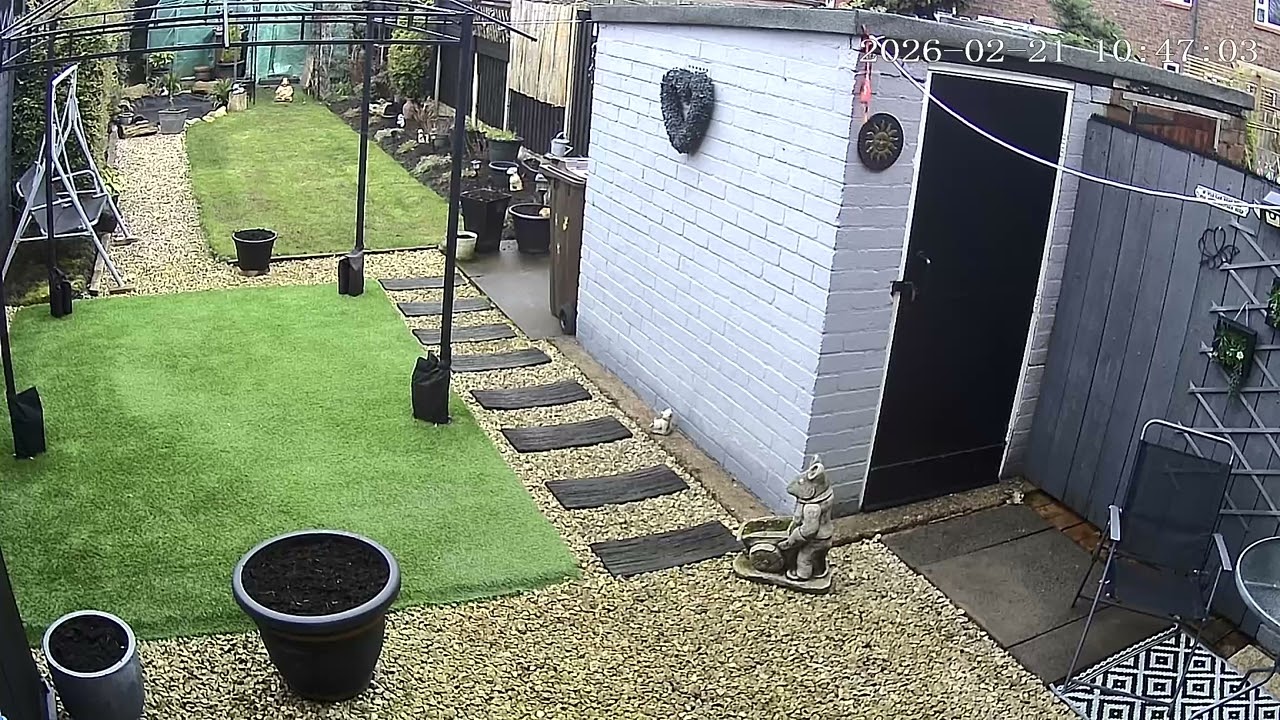 (21/2/2026) 10:45am HULL (Uk) BYC [0545]