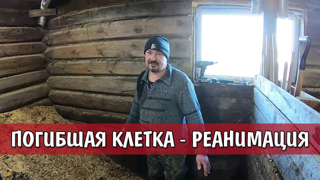 ПОГИБШАЯ КЛЕТКА - РЕАНИМАЦИЯ ОТ А ДО Я | ТЕМПЕРАТУРА БАКТЕРИИ | ОПИЛКИ ДЛЯ СВИНЕЙ | РАБОТА БАКТЕРИЙ