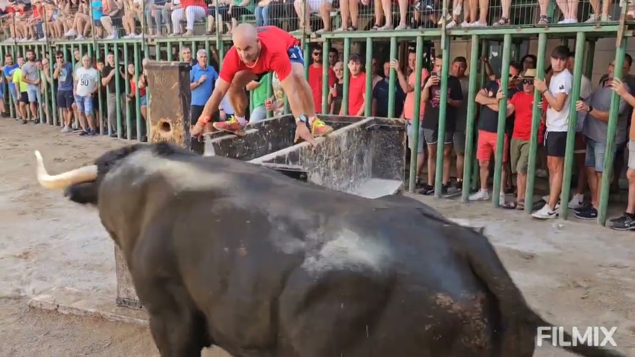 CATI ( CS ) 14-8-2023 TORO CERRIL DE DOMINGUEZ CAMACHO