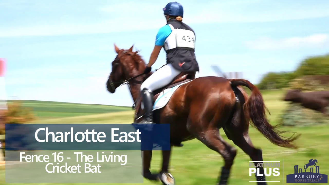 CCI4* Cross Country Fence Highlights | Platinum Plus Pellets