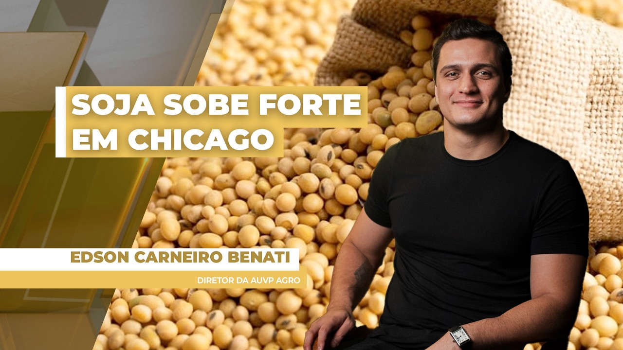 Soja fecha com forte alta em Chicago nesta 4ª, na carona de quase 3% de avanço do óleo; BR não...
