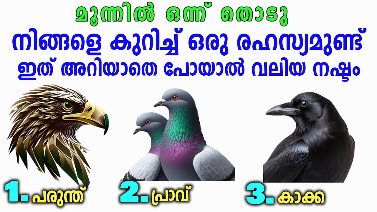 thodukuri,ഇത് അറിഞ്ഞാൽ ജീവിതം രക്ഷപെടും 100 % ഉറപ്പ്,എത്ര വലിയ കഷ്ടപ്പാടും തീരും,തൊടുകുറി,astrology