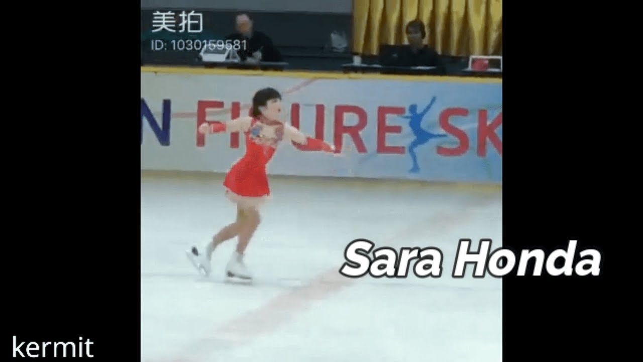 Sara Honda (Marin Honda's Sister)