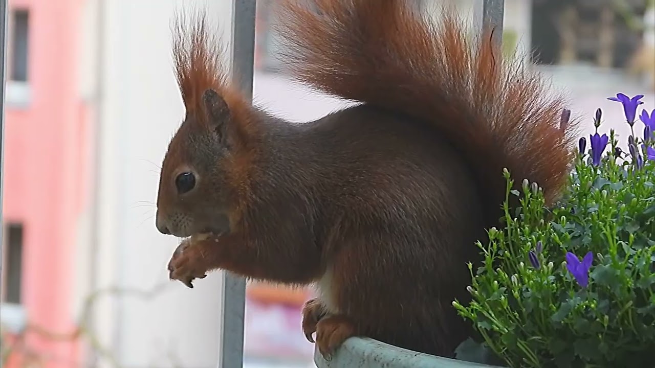 Tagträume🐿️Angebote nutzen