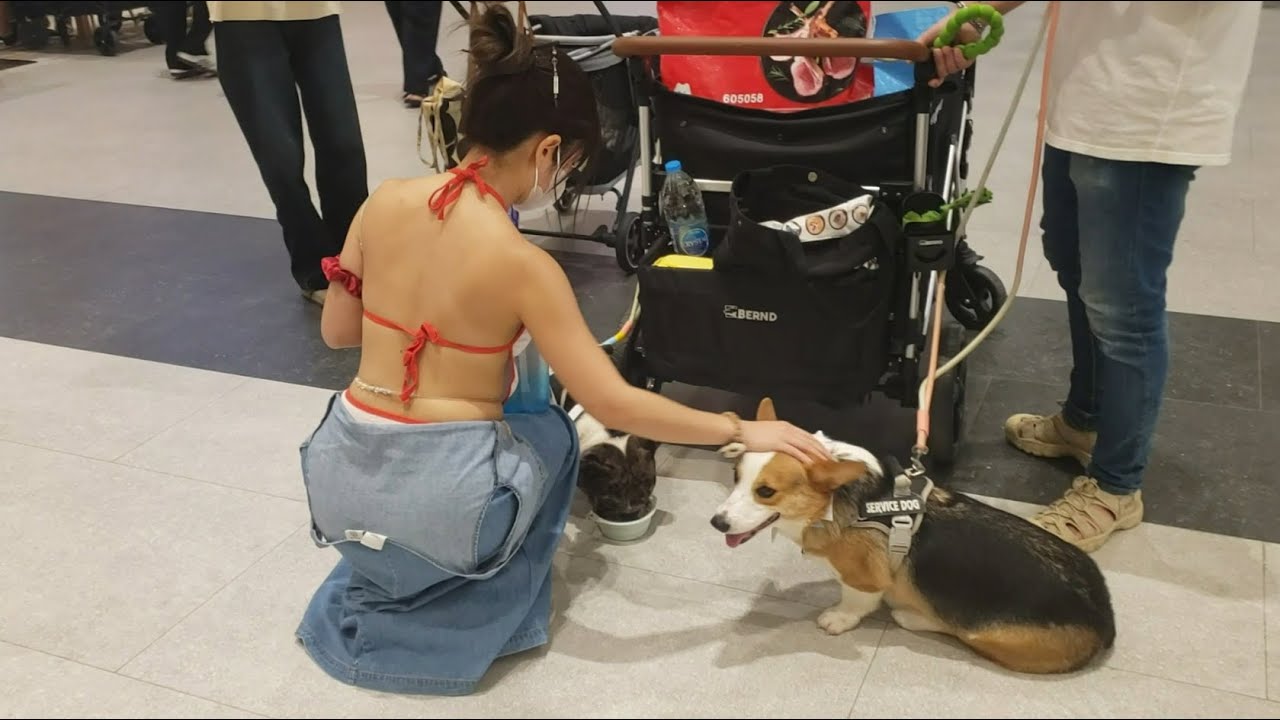 Watering her dogs