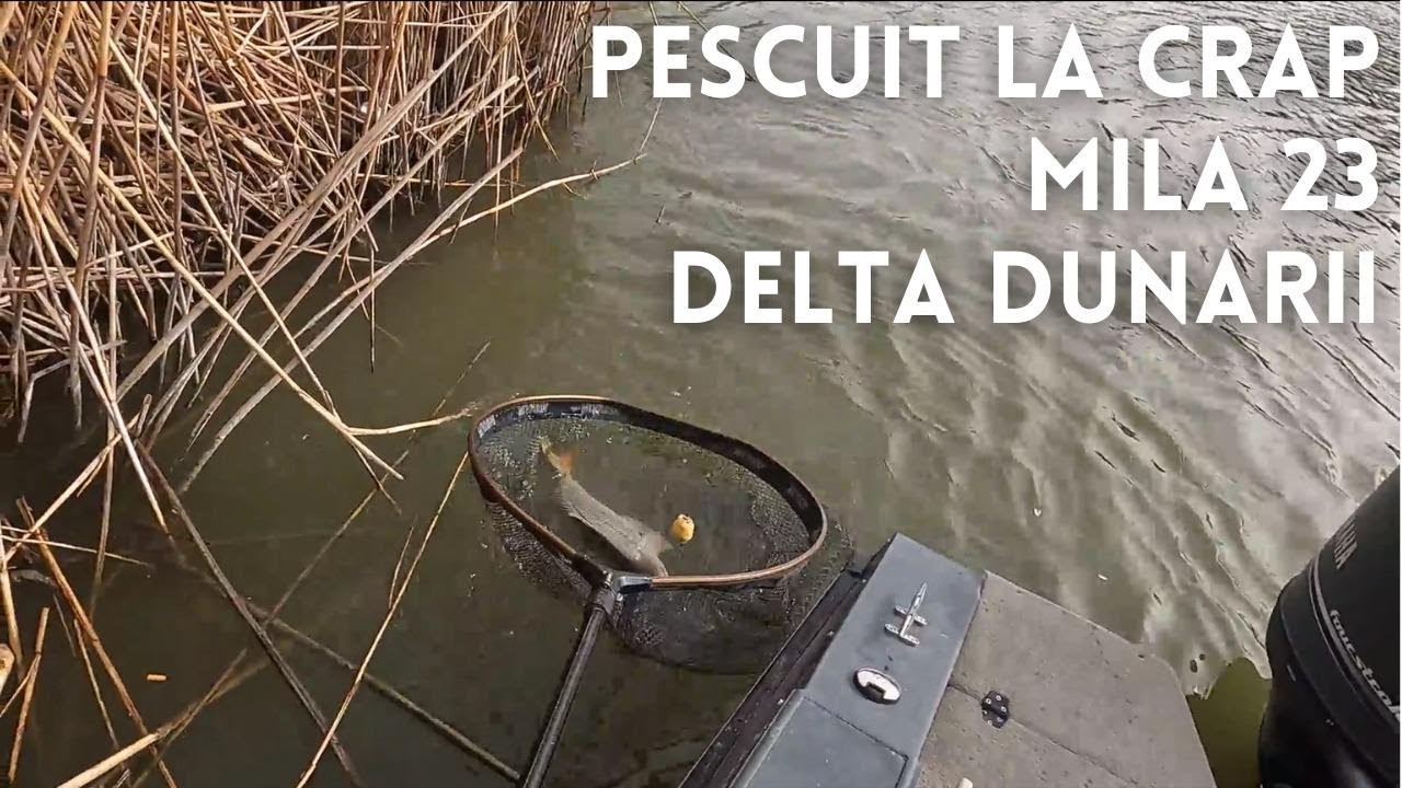 Pescuit la crap primavara pe canalele Sontea si Olguta, Mila 23, Delta Dunarii