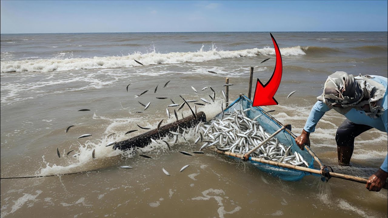 Gak Masuk Akal! Bapak Ini Cuma Pakai Alat Sederhana, Tapi Dapat Lautan Ikan Dalam Sekejap!