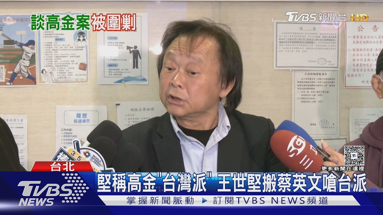 堅稱高金｢台灣派｣ 王世堅搬蔡英文嗆台派｜TVBS新聞 @TVBSNEWS02