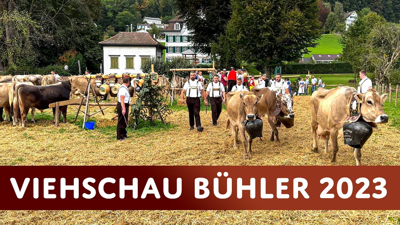 [Part 3] Cattle Show Bühler 2023 | “Abloo” with Goats, Cows, Bulls & Tractors Leaving the Arena