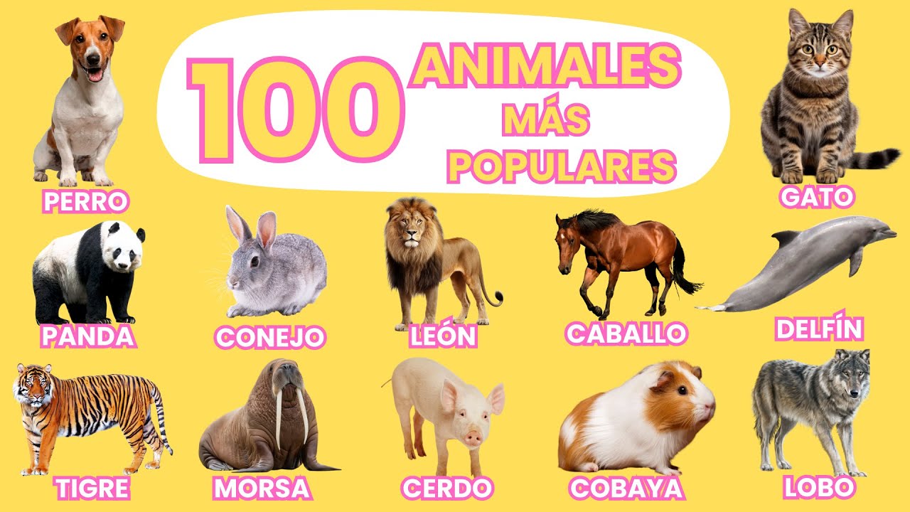 100 Animales más Populares en el Mundo 🌎| Video para niños | ¡Aprende Nombres de Animales!