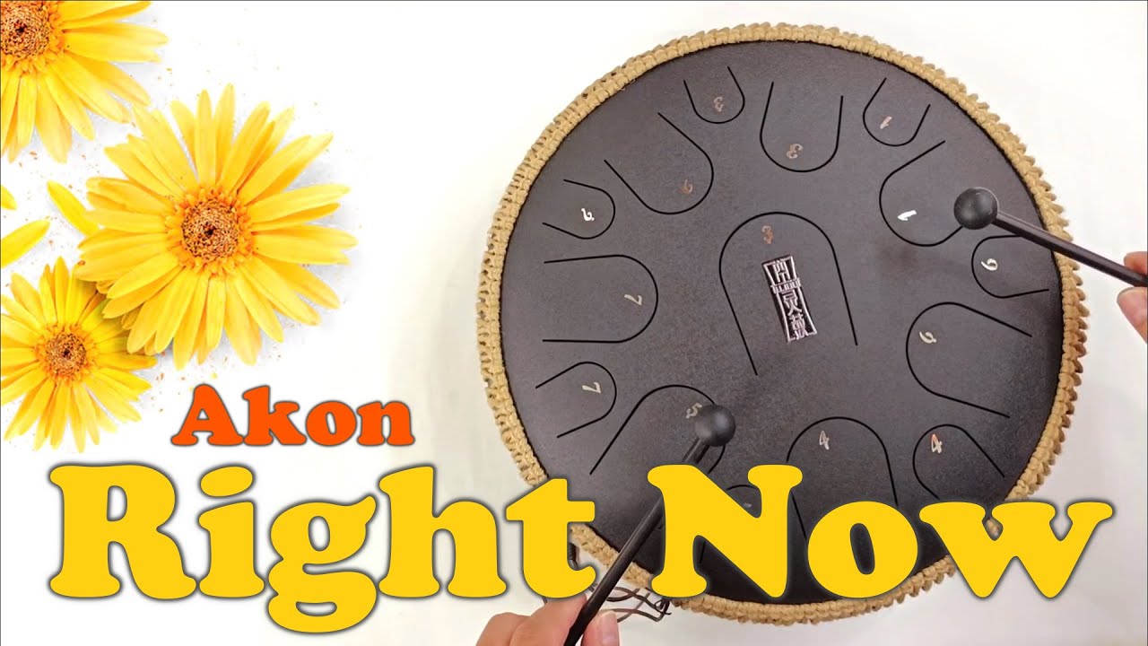 Right Now (Na Na Na) - Akon | Steel Tongue drum cover with tabs