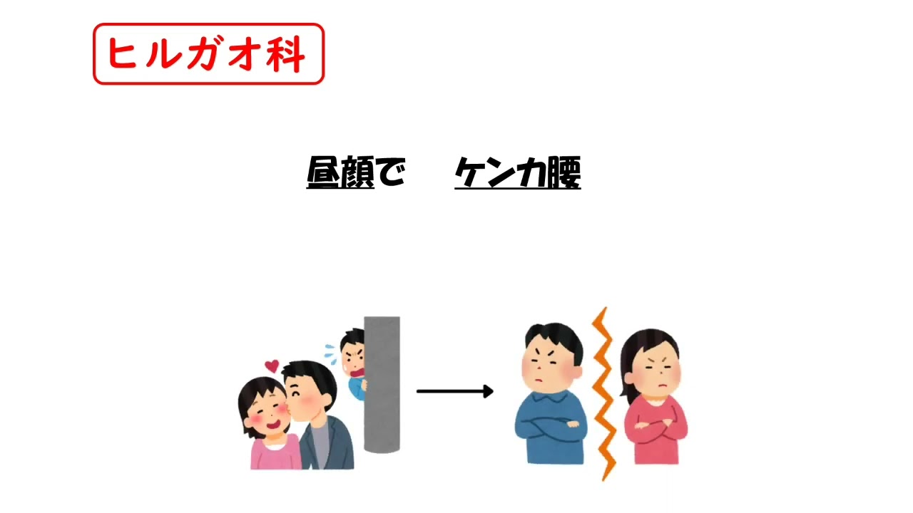 【1日1分/薬学生必見】ヒルガオ科はゴロでサクッと覚えましょう！