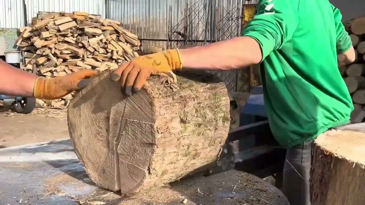 🪵🪓🌳