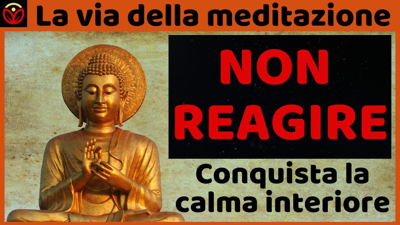 Il potere della non reazione, conquista la pace interiore. Storia Buddhista Zen