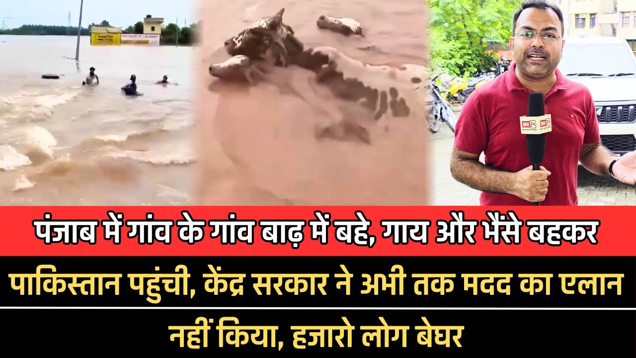 पंजाब में गांव के गांव बाढ़ में बहे, गाय और भैंसे बहकर पाकिस्तान पहुंची, केंद्र सरकार ने अभी तक