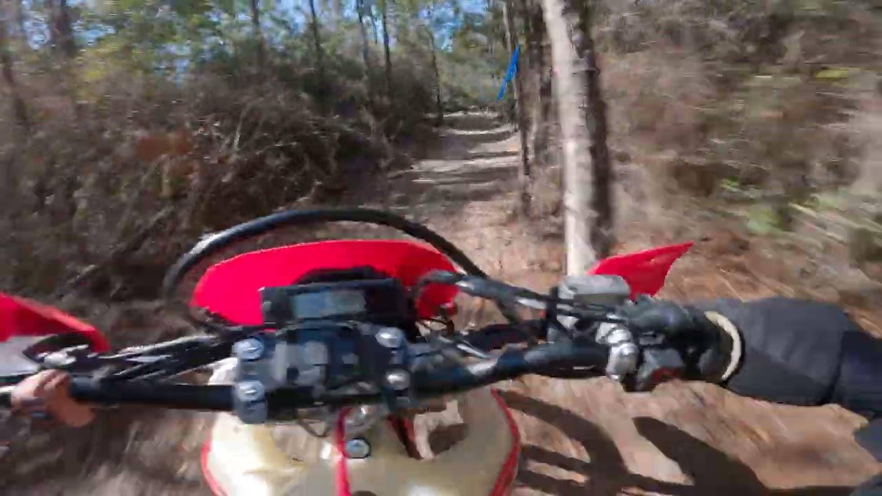 SLAYING SINGLETRACK