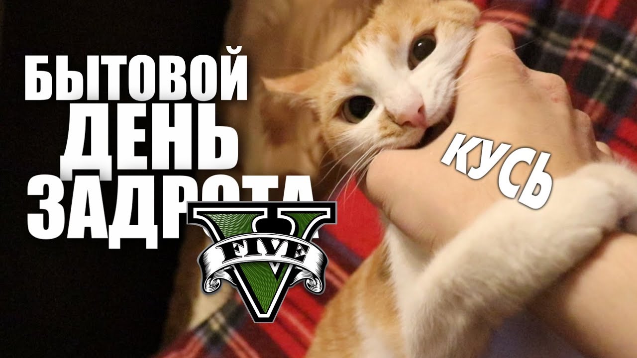 БЫТОВОЙ ДЕНЬ ЗАДРОТА 5 [18+]