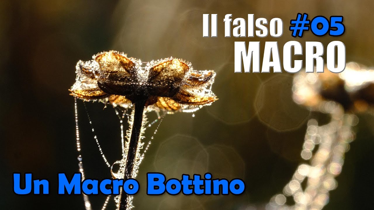 IL FALSO MACRO Ep.5 FINALE DI STAGIONE - Un Macro raccolto