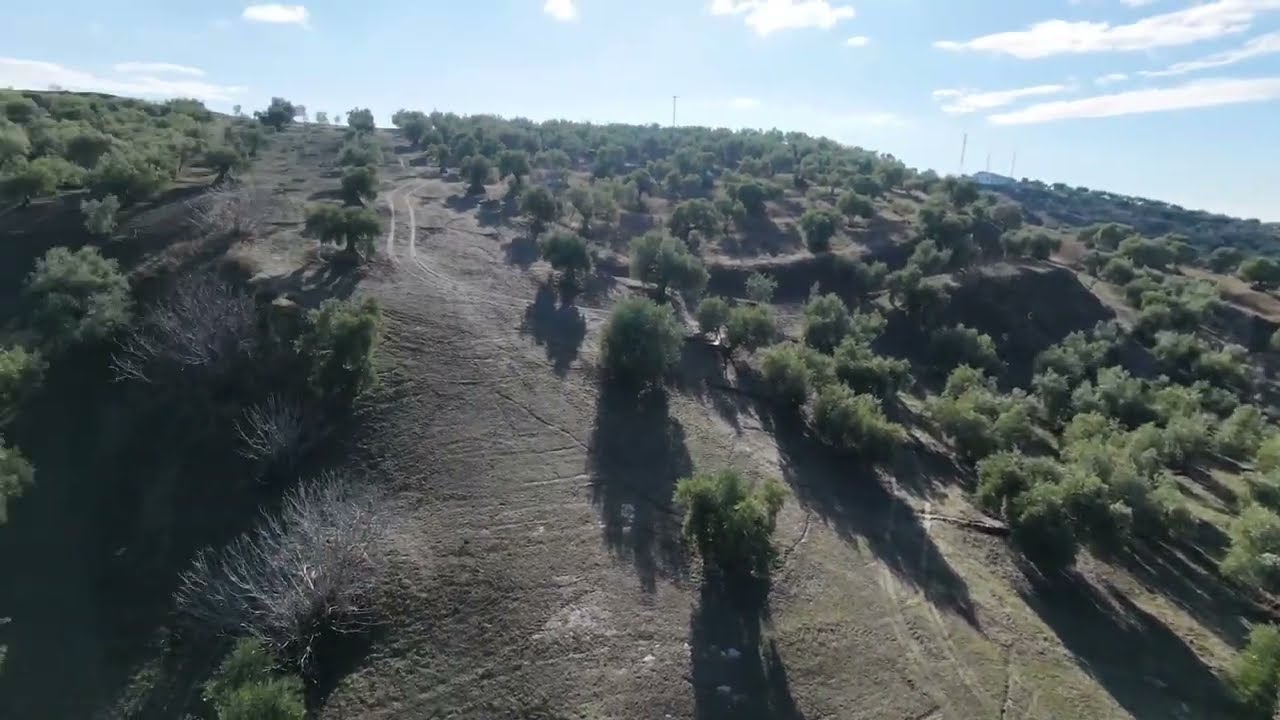 Primer vuelo fpv neo2
