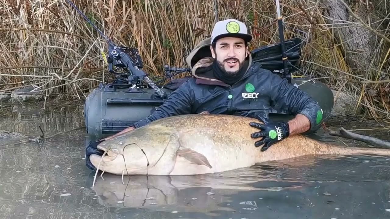 Mangiata in diretta a spinning al siluro con Dundee Zeck Fishing da Belly Boat