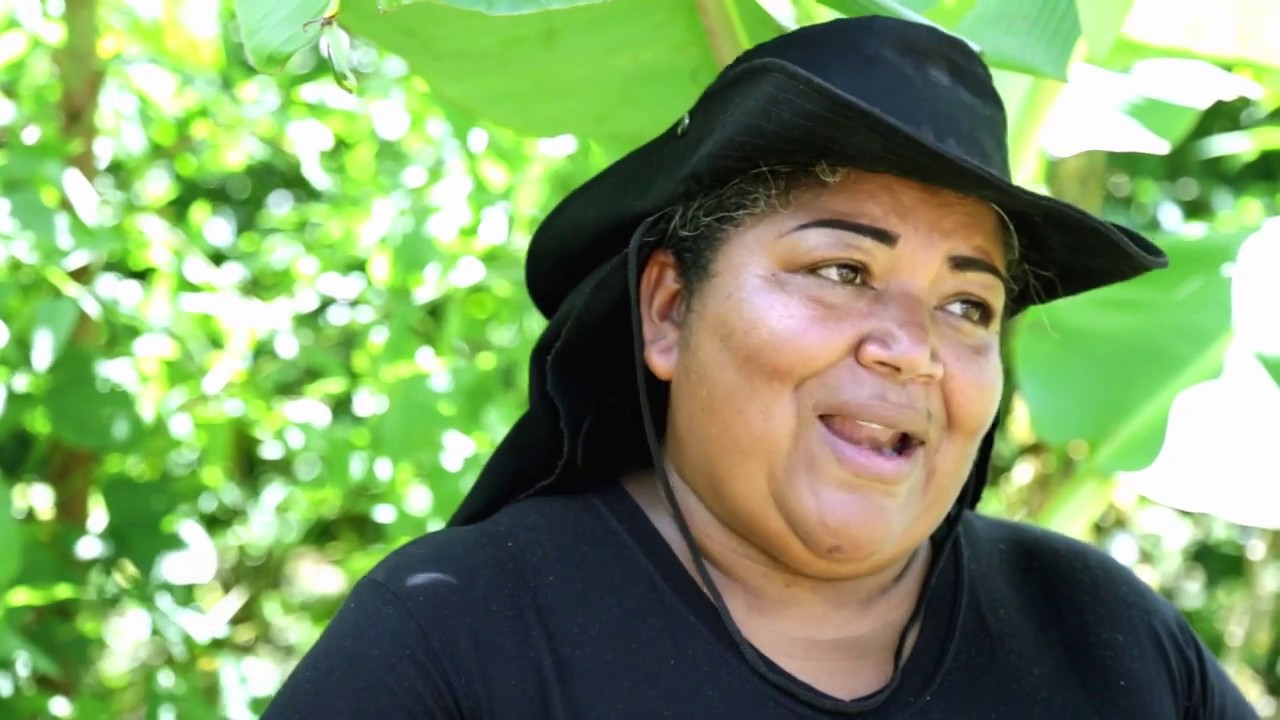 Curso de Agrofloresta - Sítio das Mangueiras