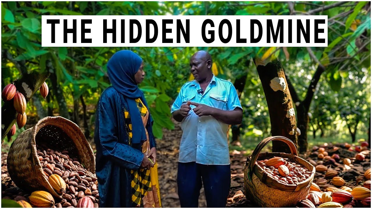 The Untold Wealth in Cocoa Farming - Why Ugandans Are Cashing In!