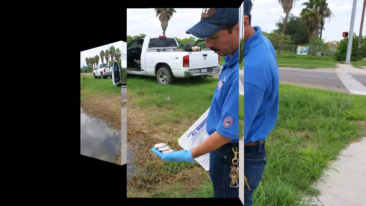 The City of Hidalgo - Mosquito Control