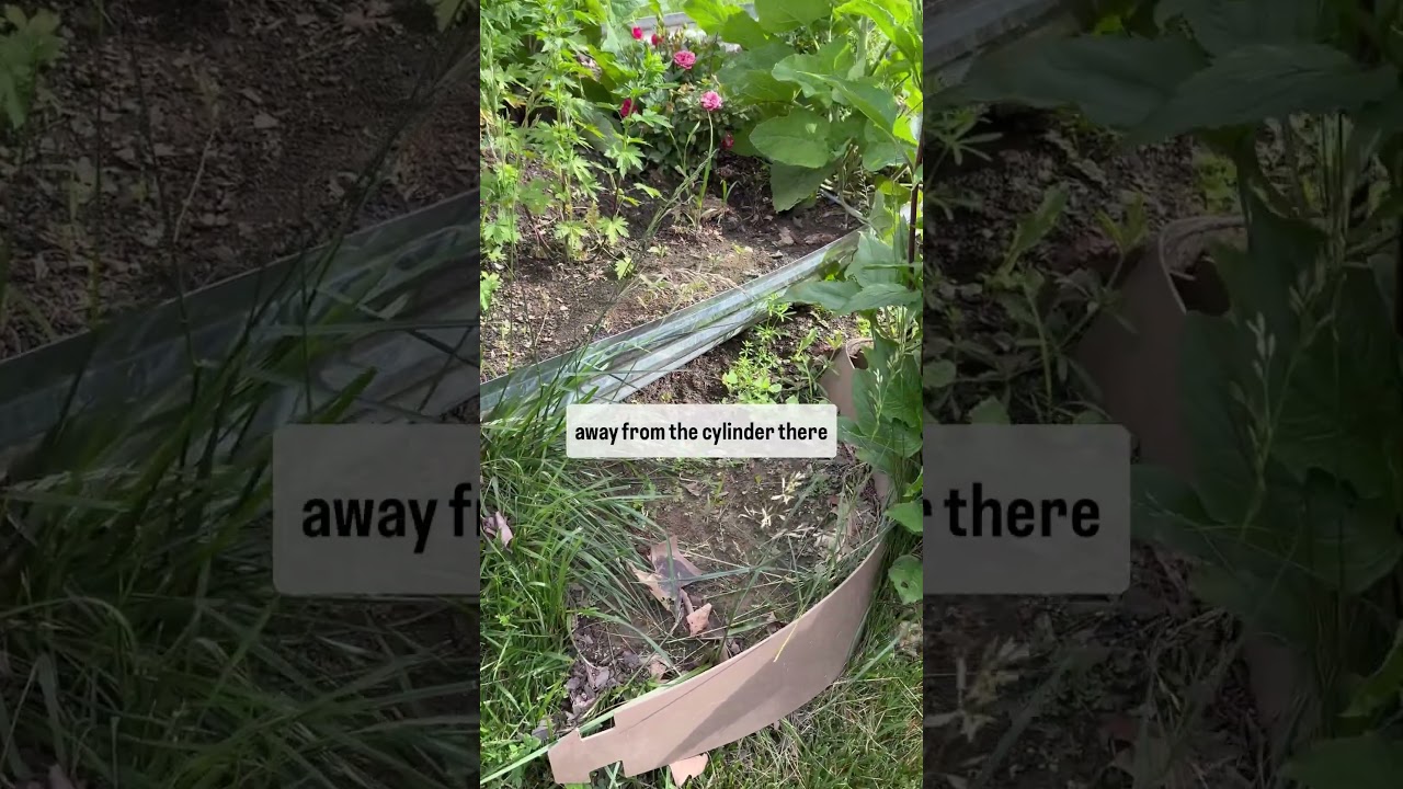 UPDATE: A few years ago I created a hillside garden using Dirt Lockers. Here&rsquo;s what been going on&hellip;