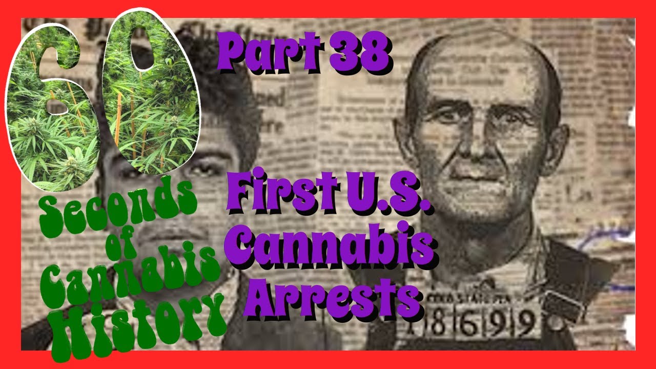 60 Seconds of Cannabis History: Part 38 - First U.S. Cannabis Arrests