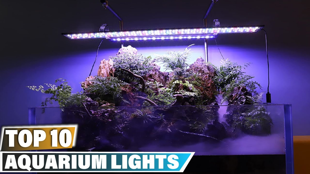 Aquarium light: ✅ Best Aquarium lights 2025 (Buying Guide)