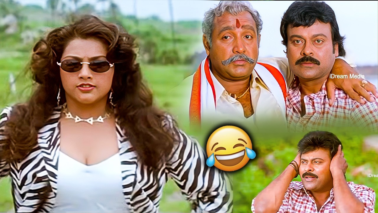 Meena And Mega Star Chiranjeevi Comedy Scenes | Sneham Kosam Movie Scenes | iDream Tenali
