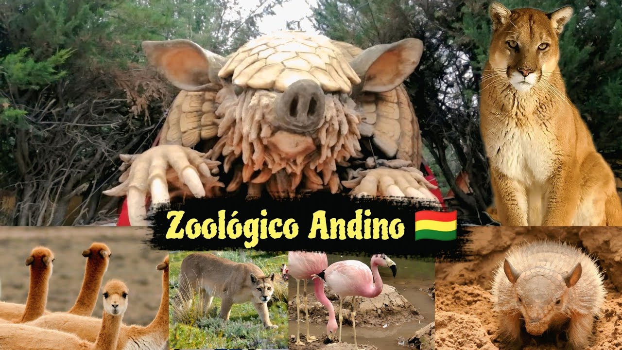 ASI ES UN ZOOLOGICO ANDINO // ORURO-BOLIVIA