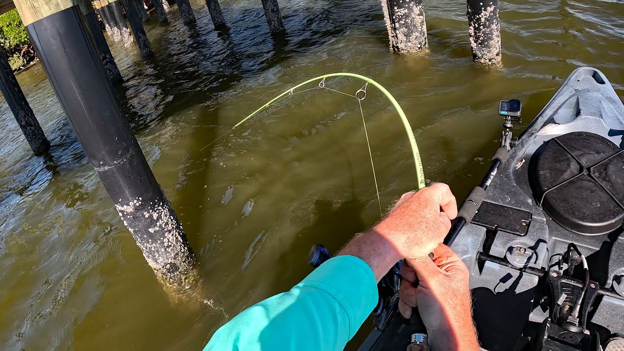 Dock Monster Fish - Sheepshead and Drum PBs! Win Some Lose Some!