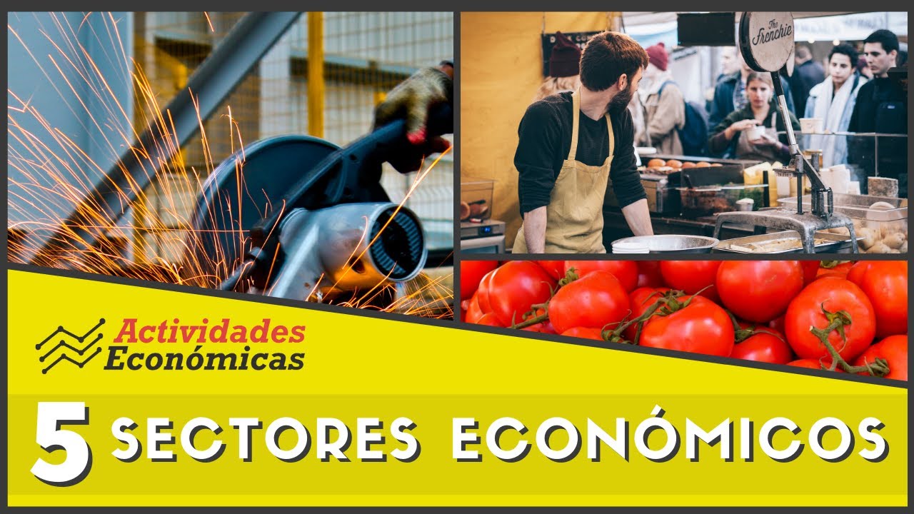 Los 5 sectores econ&oacute;micos -Econom&iacute;a (Ejemplos y caracter&iacute;sticas)