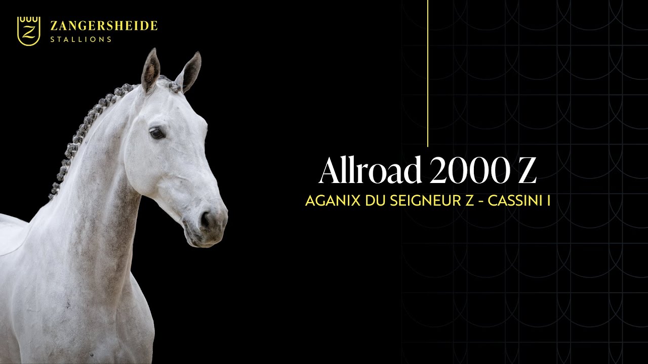 Allroad 2000 Z - Hengstpräsentation 2025 GER