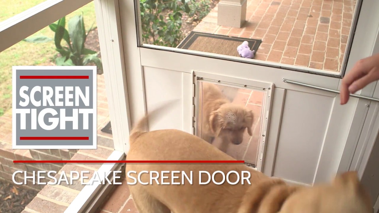 Chesapeake Screen Door with Pet Door