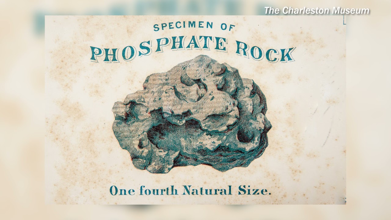 Moment of Science- Phosphate & Charleston's Fossil History
