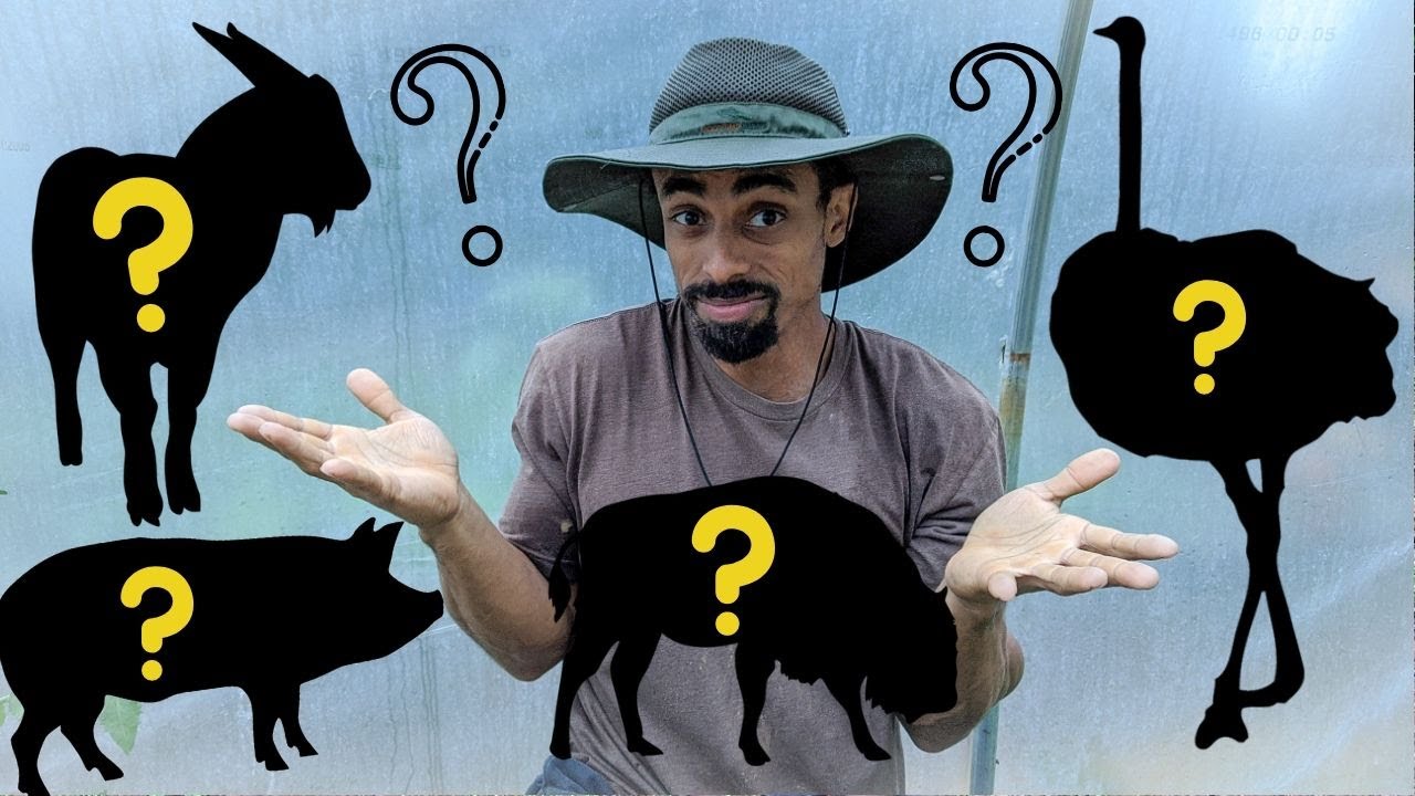 Which one did I BRING Home