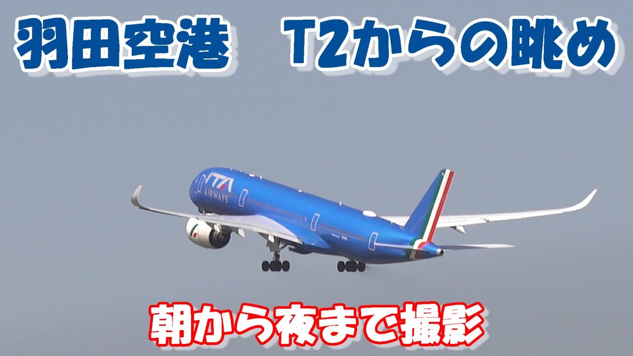 【日本一忙しい羽田空港で朝から夜まで撮影】JAL　ANA 特別塗装機　ITA　ルフトハンザ　たくあん　ポケモンジェット　羽田空港　Landing　Takeoff