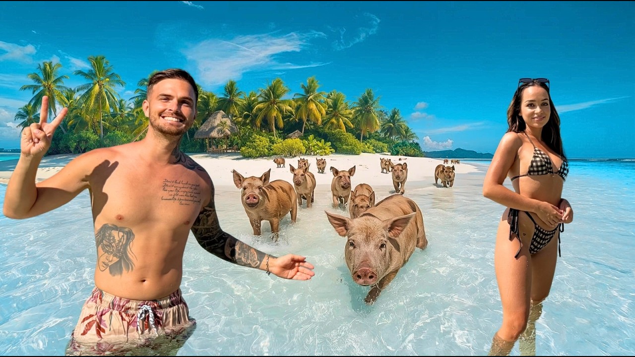 ON DÉCOUVRE L'ÎLE AUX COCHONS EN THAÏLANDE