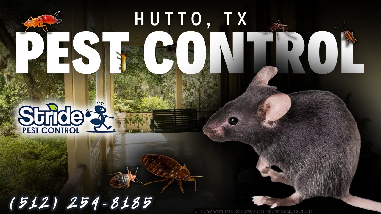 Hutto, TX Pest Control Service (512) 254-8185 - Stride Pest Control