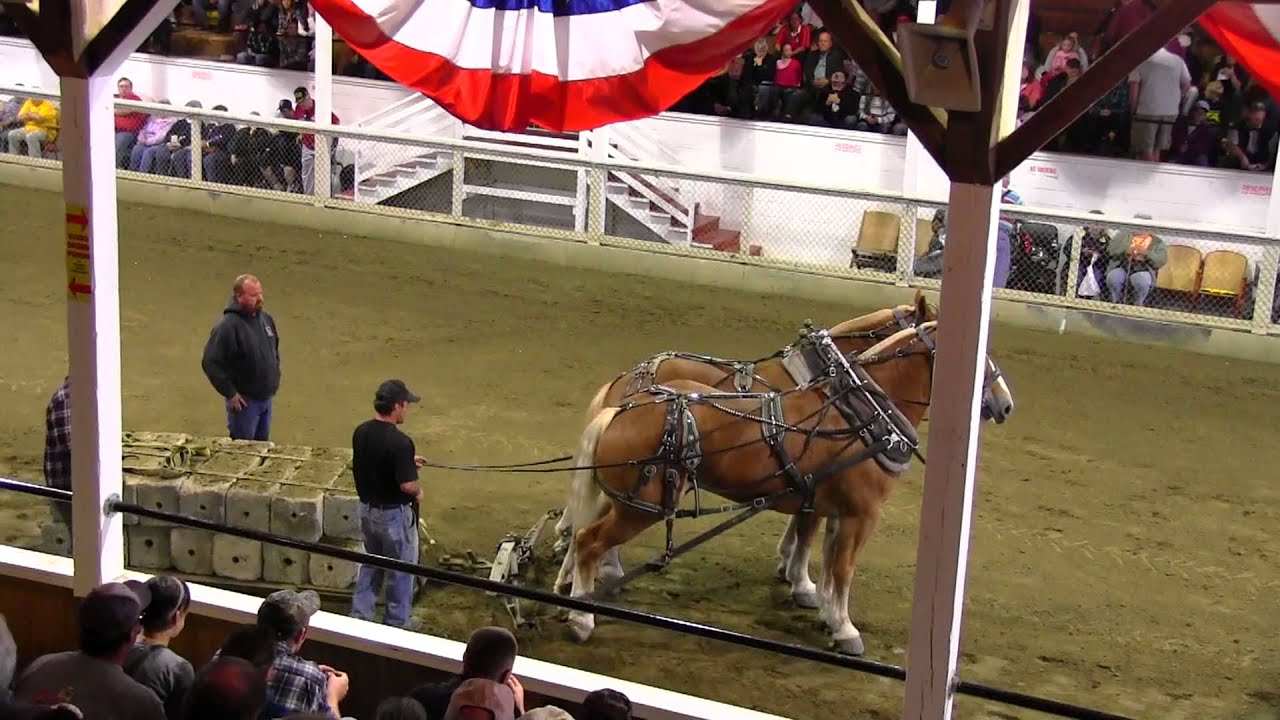 Fryeburg Fair 2013 Horse Pull Video 1