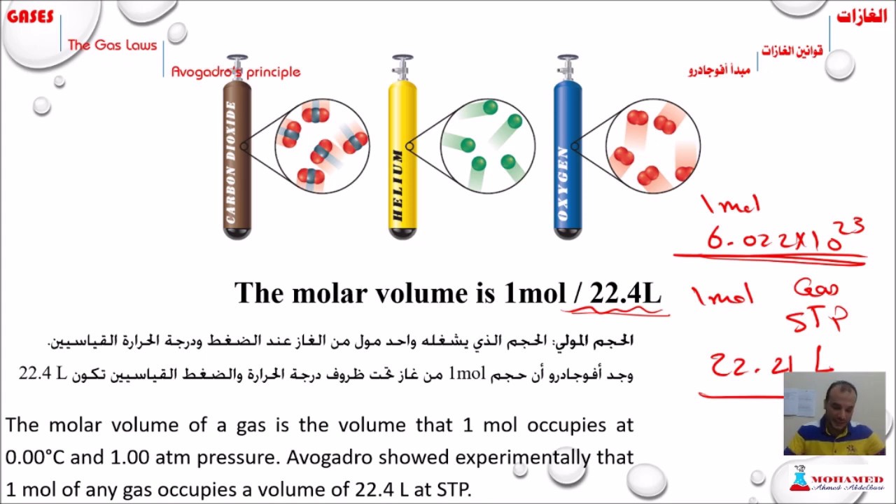 مبدأ أفوجادرو حجوم الغازات المولية Avogadro’s principle molar volume of gases