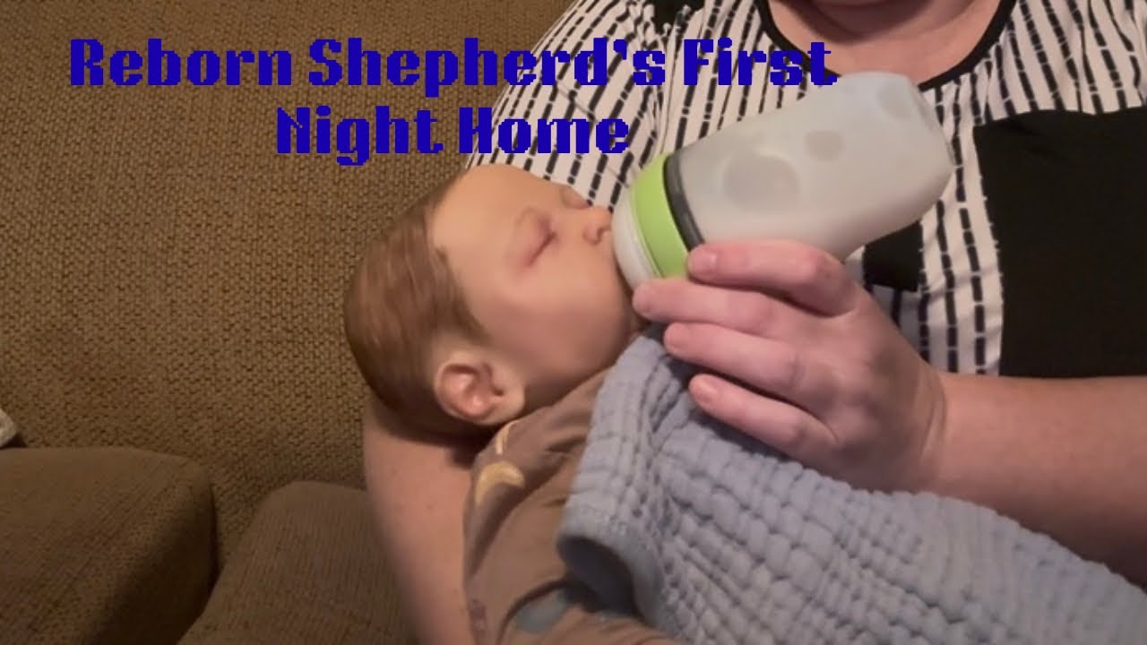 Reborn Shepherd Tate’s First Night Home 