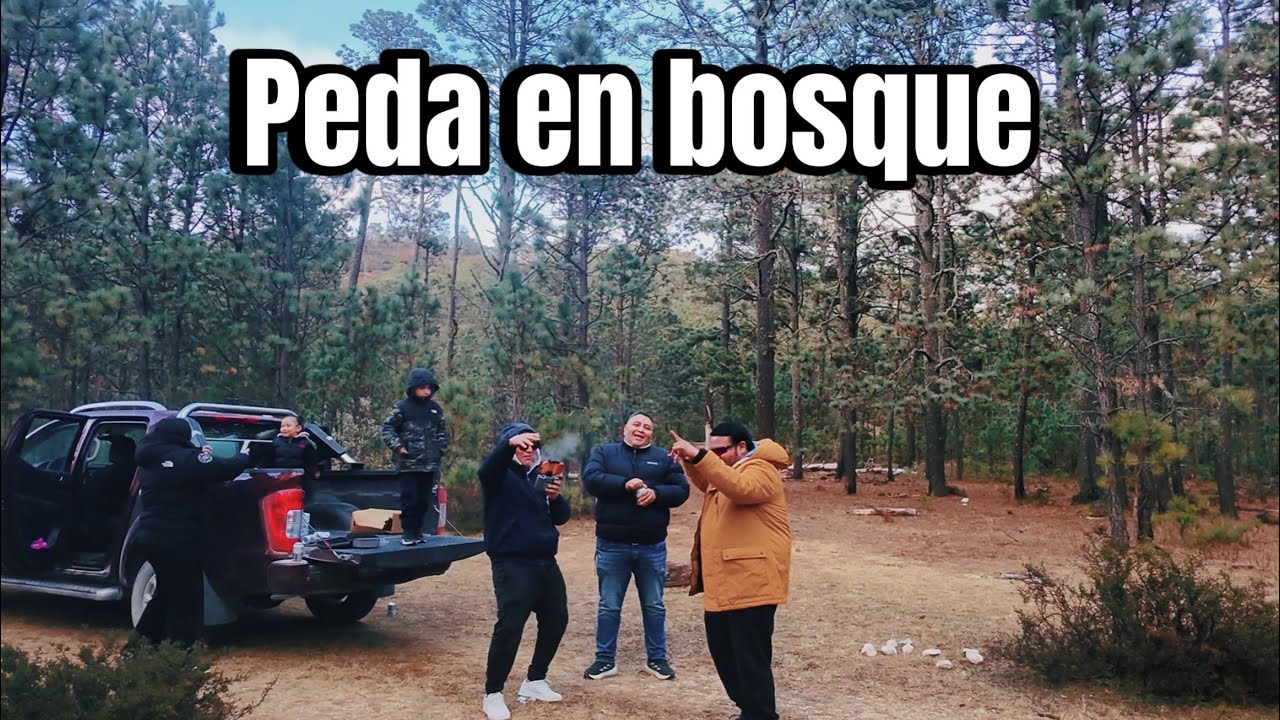 Peda en el bosque de valle hermoso tmp 