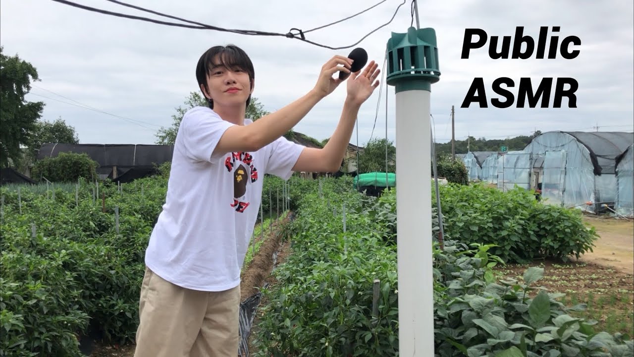 시골 ASMR / ASMR at the Rural areas (Public)